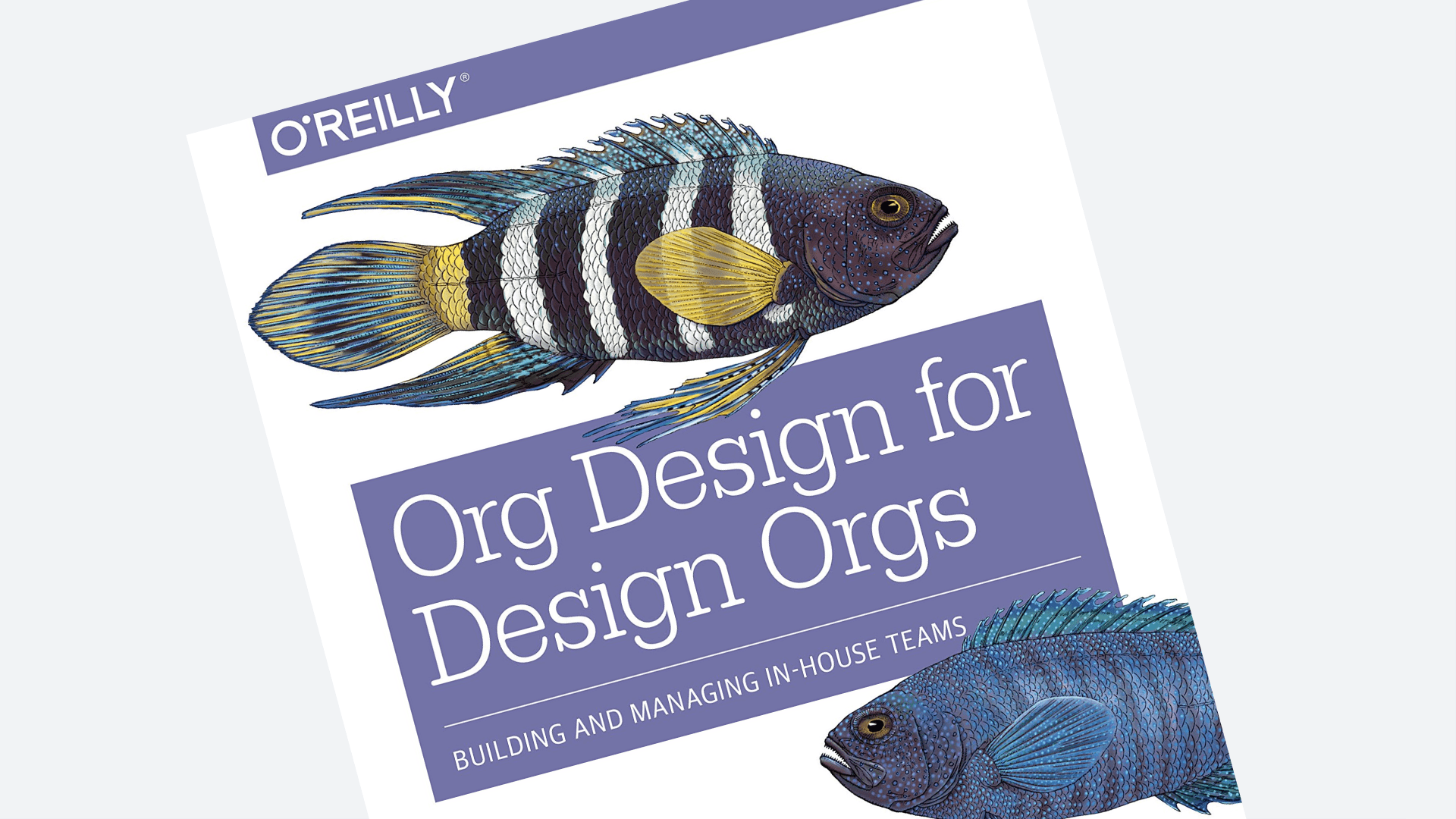 Cover of Org Design for Design Orgs